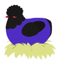 A indigo and sable chicken with a head pattern