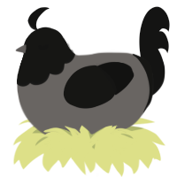 A grey and black chicken with a head pattern