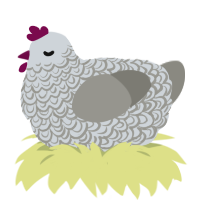 A mist and ash chicken with a double-lace pattern