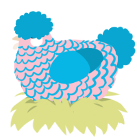 Hydrangea, a rose and cerulean chicken with a lace pattern