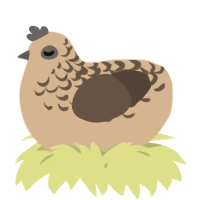 A beige and bark chicken with a half-lace pattern