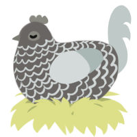 A grey and silver chicken with a lace pattern
