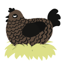 A bark and black chicken with a lace pattern