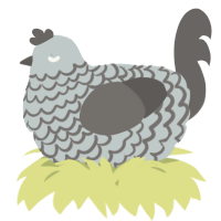 A silver and grey chicken with a lace pattern