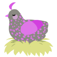 A ash and orchid chicken with a speckle pattern