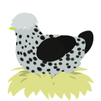 A silver and black chicken with a speckle pattern