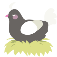 Envi, a grey and white chicken