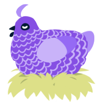 A blurple and lilac chicken with a lace pattern