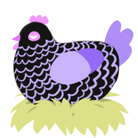 A black and lilac chicken with a lace pattern