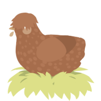 A brown chicken with a speckle pattern