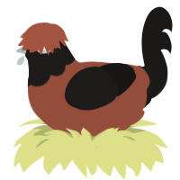 (unnamed), a russet and sable chicken with a head pattern