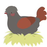 A grey and russet chicken