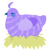Lexi, a lilac chicken with a bar pattern