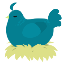 A sea chicken with a neck-band pattern