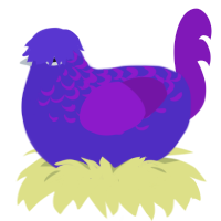 (unnamed), a indigo and violet chicken with a half-lace pattern