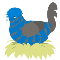 (unnamed), a sapphire and grey chicken with a bar pattern