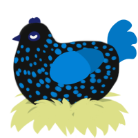 A black and sapphire chicken with a speckle pattern