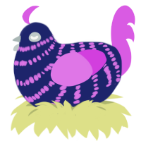 A navy and orchid chicken with a bar pattern