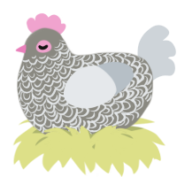 A ash and mist chicken with a double-lace pattern