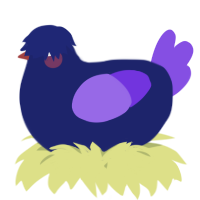 A navy and blurple chicken