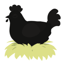 A black and sable chicken