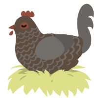 A bark and grey chicken with a lace pattern