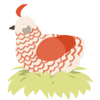 A cream and vermilion chicken with a lace pattern