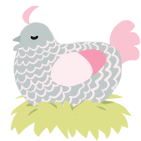 sylph, a silver and rose chicken with a lace pattern