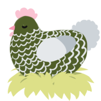 A olive and mist chicken with a lace pattern