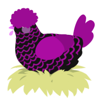 A black and plum chicken with a lace pattern