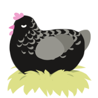 Rosy Starling, a sable and ash chicken with a half-lace pattern