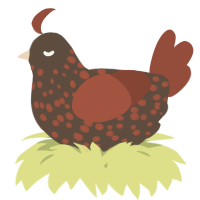 A bark and russet chicken with a speckle pattern