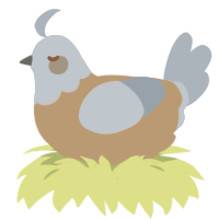 A beige and mist chicken with a head pattern