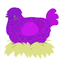 A violet and amethyst chicken with a double-lace pattern