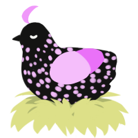 A black and lavender chicken with a speckle pattern