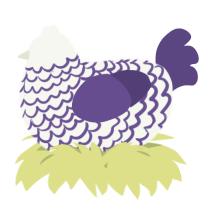 A white and overcast chicken with a lace pattern