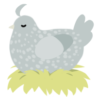 A silver chicken with a speckle pattern