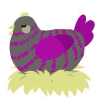 A grey and plum chicken with a bar pattern