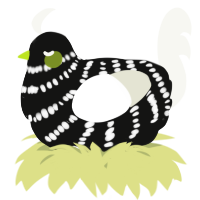 A black and white chicken with a bar pattern