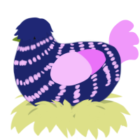 A navy and lavender chicken with a bar pattern