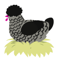 A ash and black chicken with a lace pattern