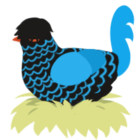 (unnamed), a sable and sky chicken with a lace pattern