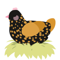 A sable and orange chicken with a speckle pattern