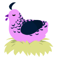 Unique, a lavender and tumblr chicken with a half-lace pattern