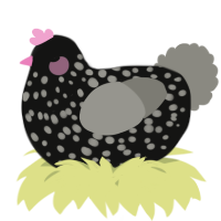 A black and ash chicken with a speckle pattern