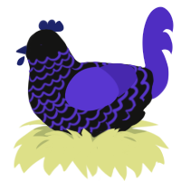 (unnamed), a black and indigo chicken with a lace pattern