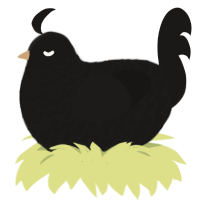 crow, a sable chicken with a lace pattern