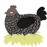 A grey and sable chicken with a lace pattern