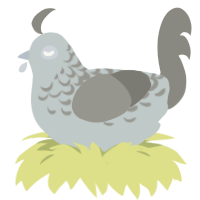 Mordred, a silver and ash chicken with a half-lace pattern
