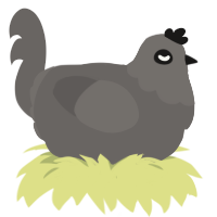 Dusty, a grey chicken with a head pattern